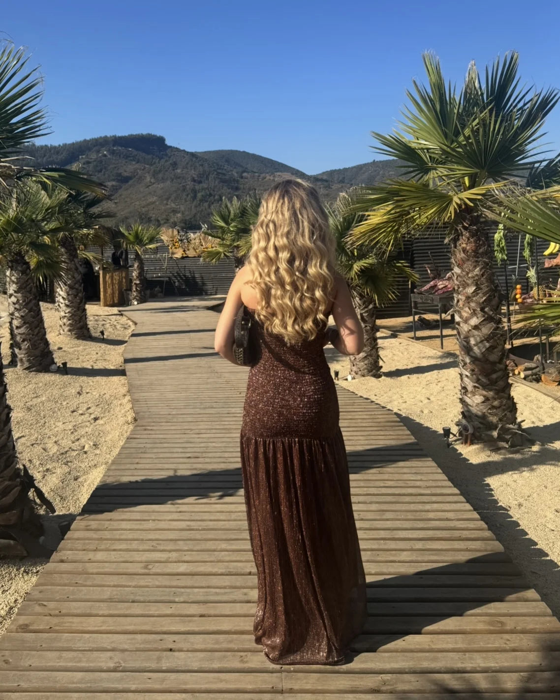 Shiny Chocolate dress
